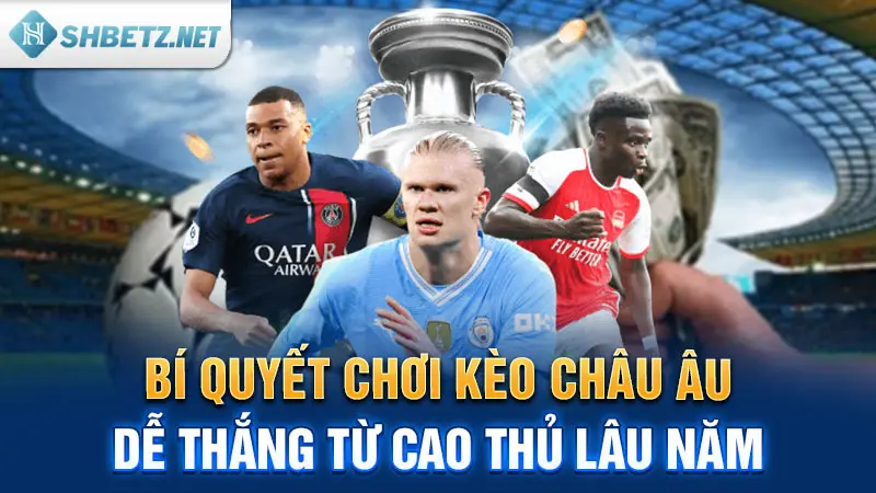 Bí quyết chơi kèo 1x2 dễ thắng từ cao thủ lâu năm