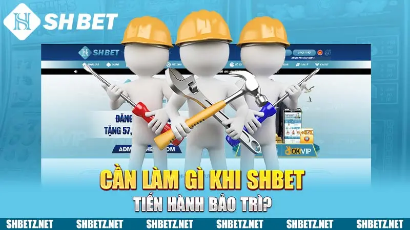 Cần làm gì khi SHBET tiến hành bảo trì?