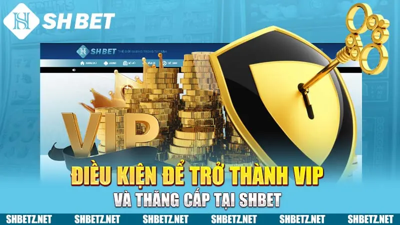 Điều kiện để trở thành VIP và thăng cấp tại SHBET