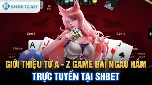 Giới Thiệu Từ A - Z game bài ngầu hầm trực tuyến tại SHBET