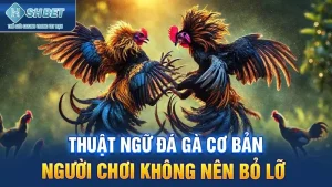 Thuật Ngữ Đá Gà Cơ Bản Người Chơi Không Nên Bỏ Lỡ