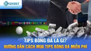 Tips Bóng Đá Là Gì? Hướng Dẫn Cách Mua Tips Bóng Đá Miễn Phí